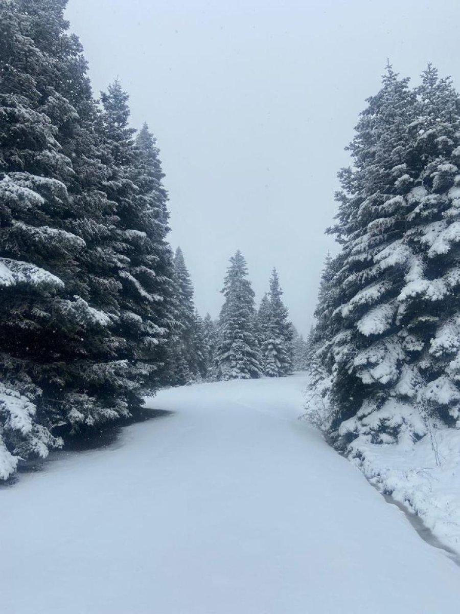Yedigöller beyaz örtüyle kaplandı