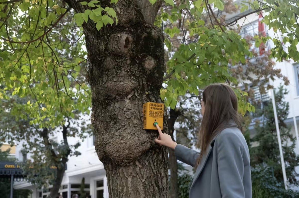 Financial Times muhabiri neden Ankara'da yaşadığını anlattı