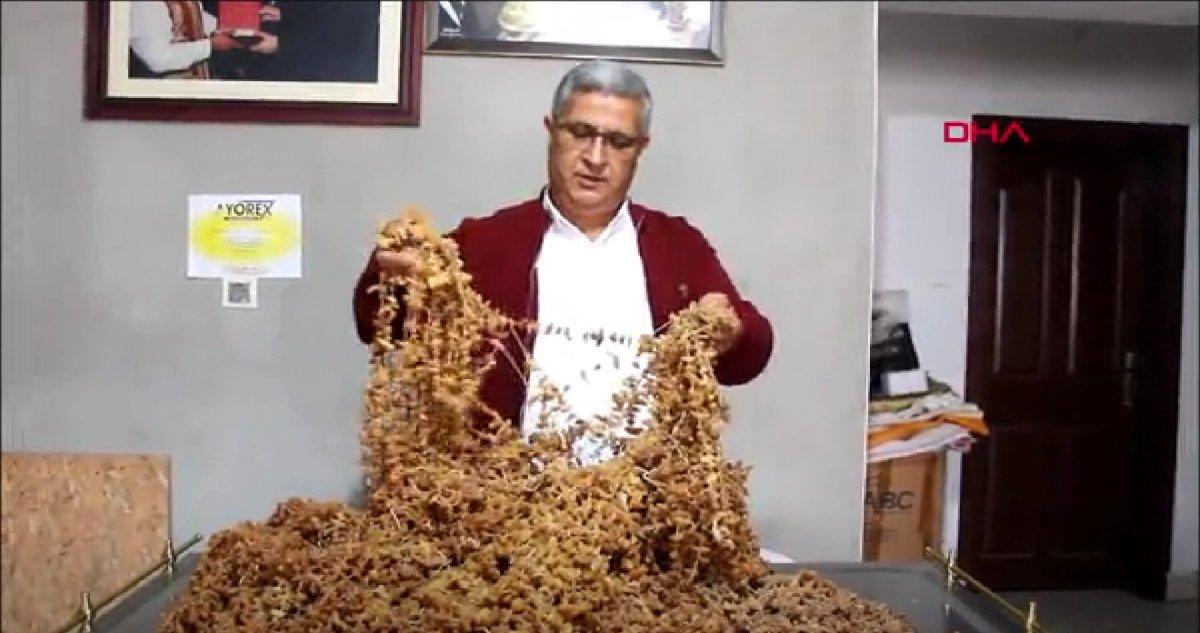 Bucak salebi lezzeti artık tescilli