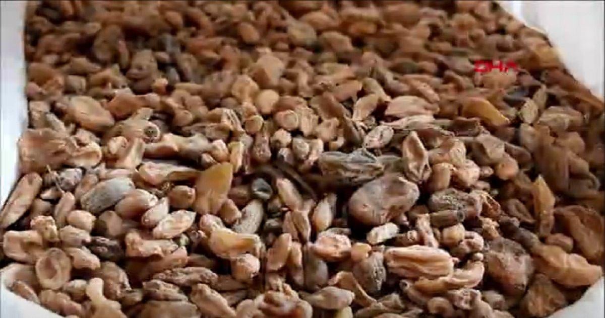 Bucak salebi lezzeti artık tescilli