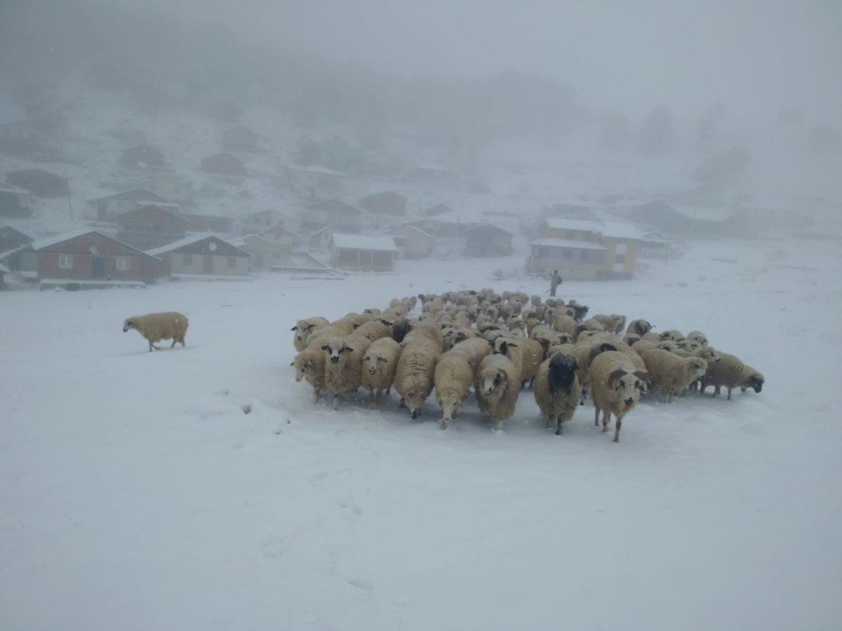 Tokat'ta kar yağışı ile göl ve yaylalar beyaza büründü