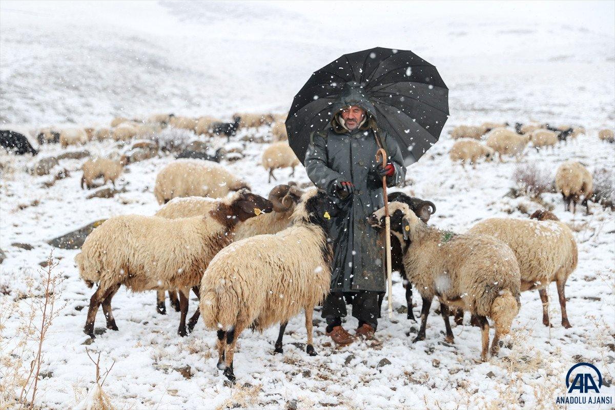 Van ve Hakkari'de kar etkili oldu