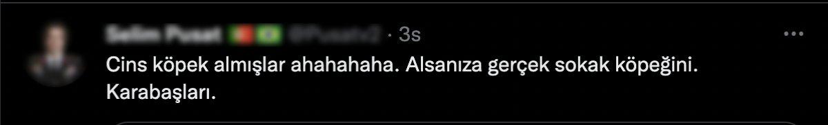 Konya'daki barınakta cins köpekler sahiplenildi sokak köpekleri kaldı