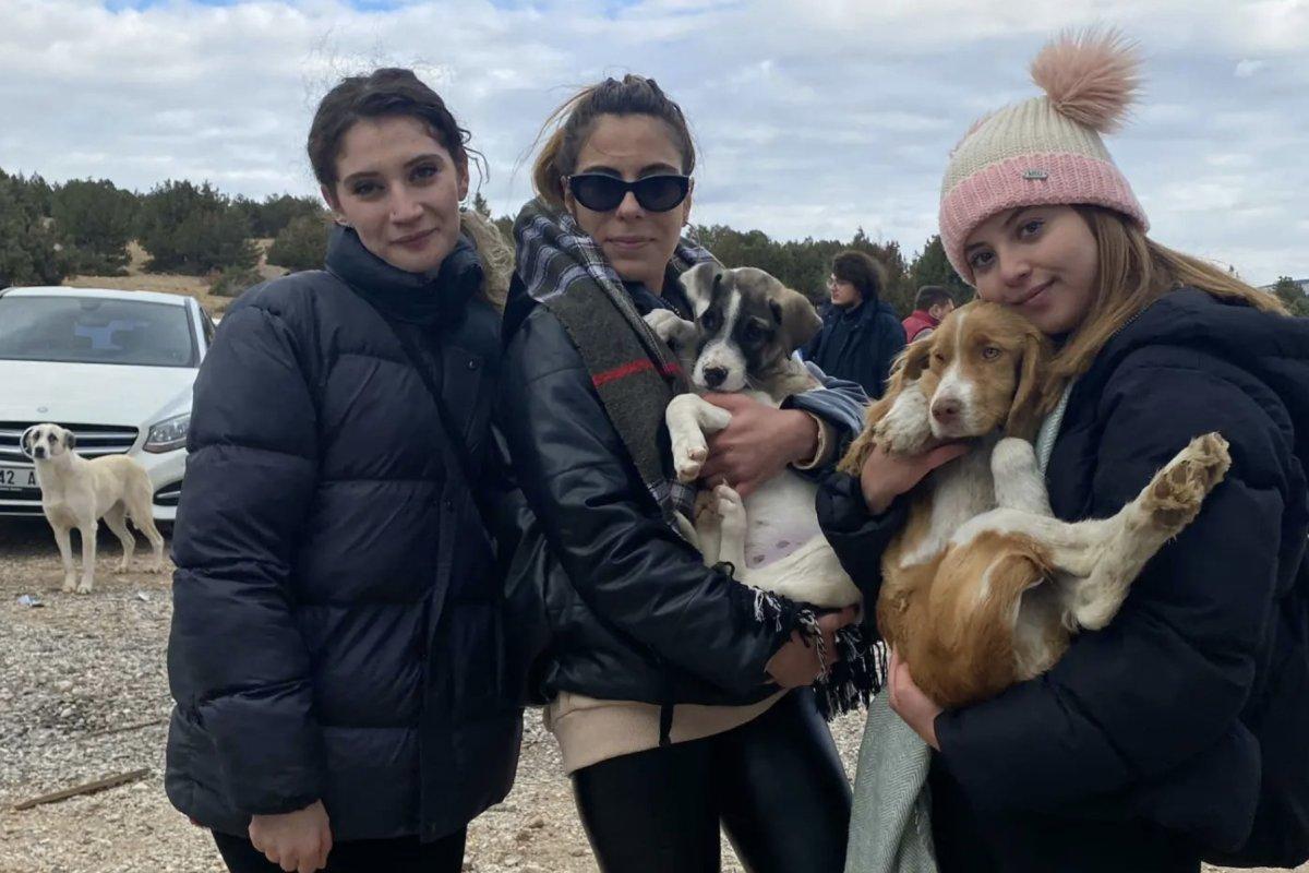 Konya'daki barınakta cins köpekler sahiplenildi sokak köpekleri kaldı