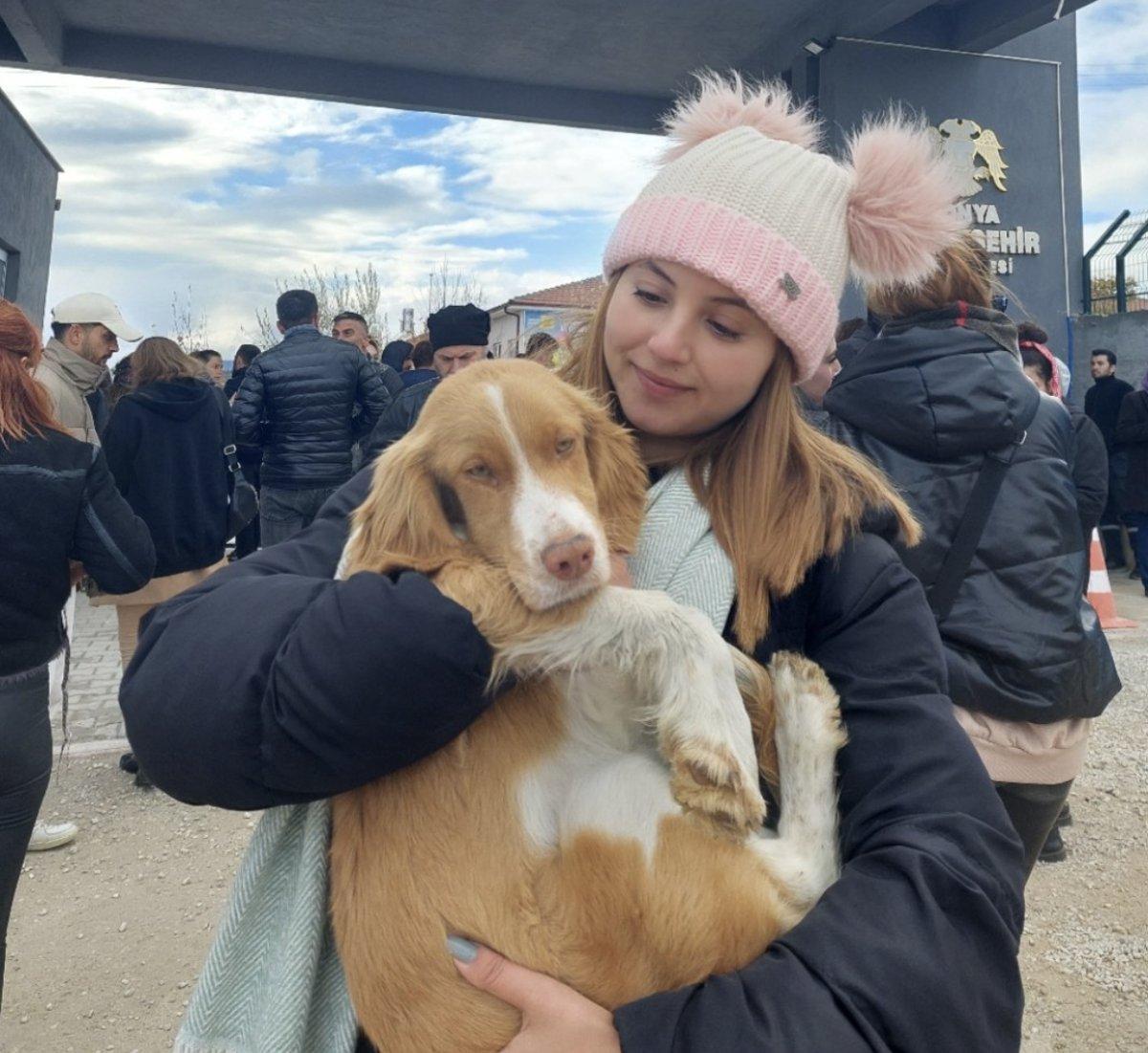 Konya'daki barınakta cins köpekler sahiplenildi sokak köpekleri kaldı
