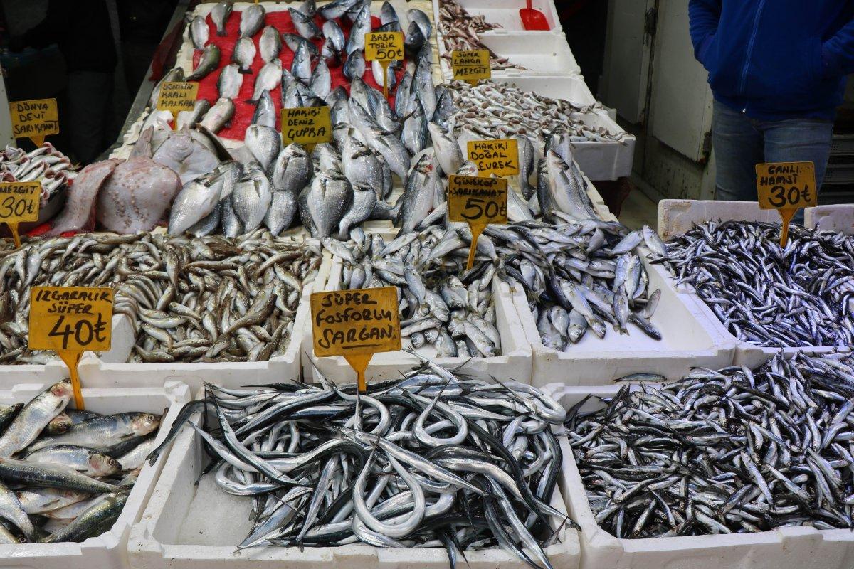 Samsun'da soğuyan hava balığa yönlendirdi