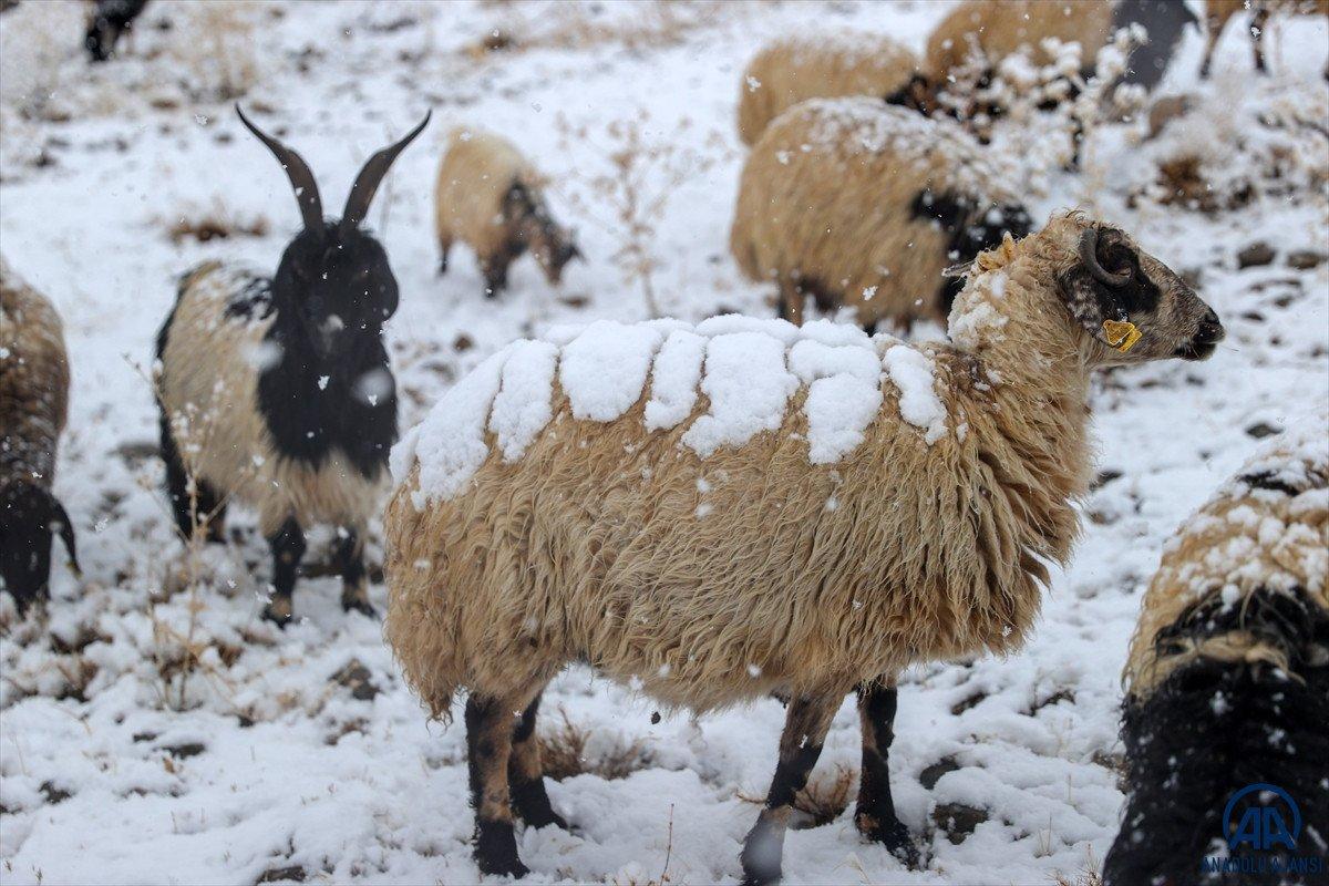 Van ve Hakkari'de kar etkili oldu