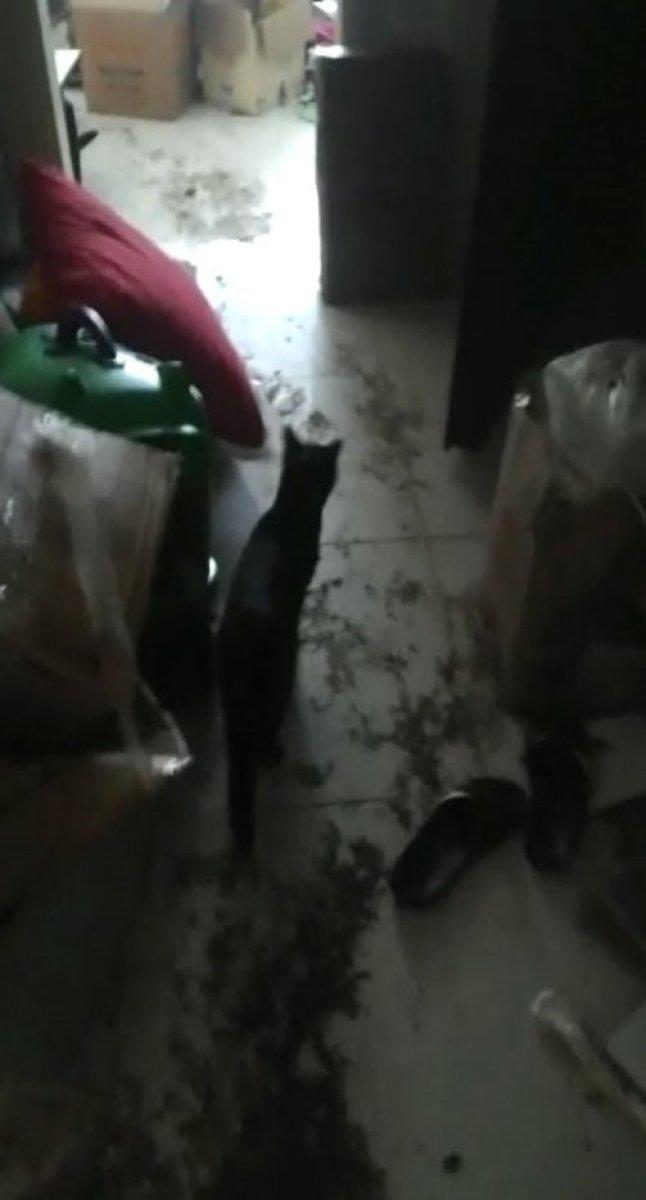 Sakarya'da kiraya verdiği evi çöp içinde buldu 