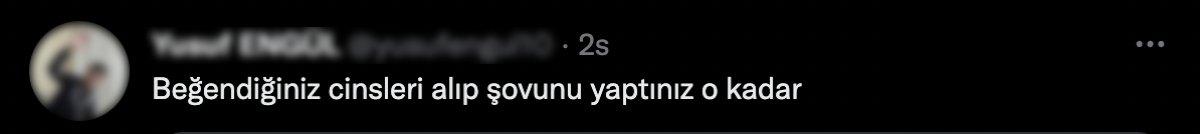 Konya'daki barınakta cins köpekler sahiplenildi sokak köpekleri kaldı