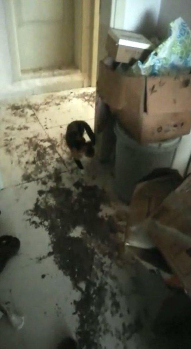 Sakarya'da kiraya verdiği evi çöp içinde buldu 