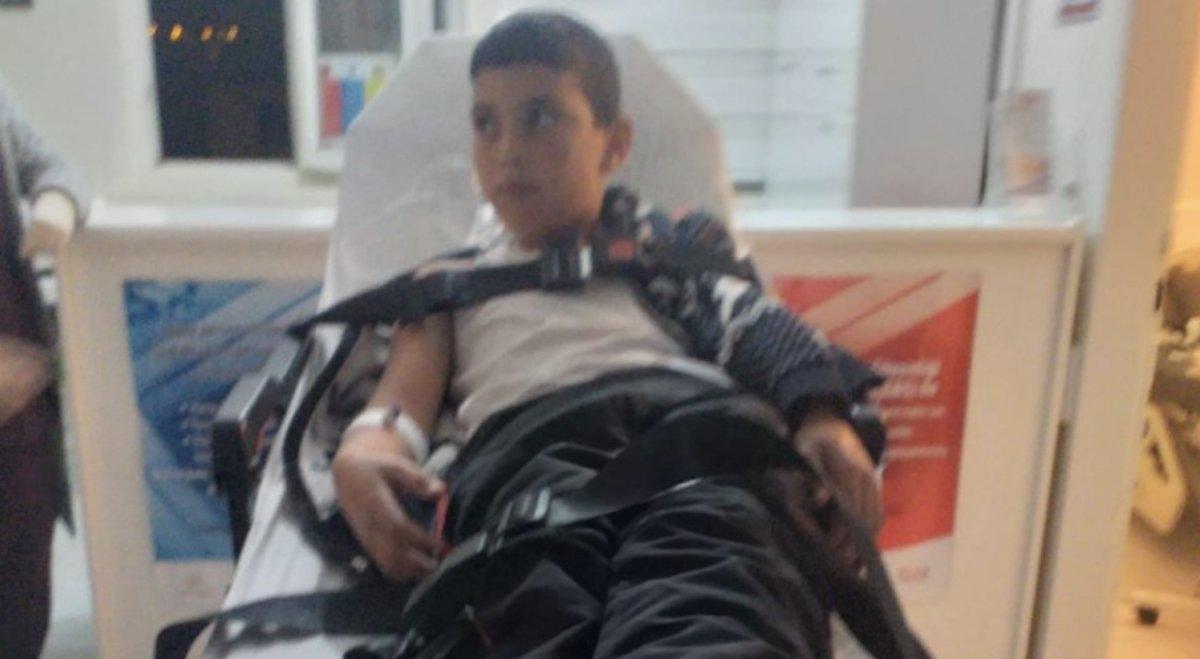 Sokak köpekleri yüzünden daha kaç çocuk hayatını kaybedecek