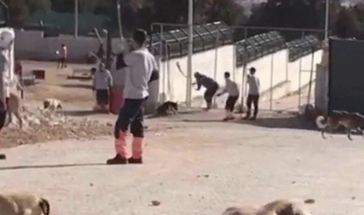 Konya’da barınaktaki olaya ilişkin zanlıların ifadeleri ortaya çıktı 