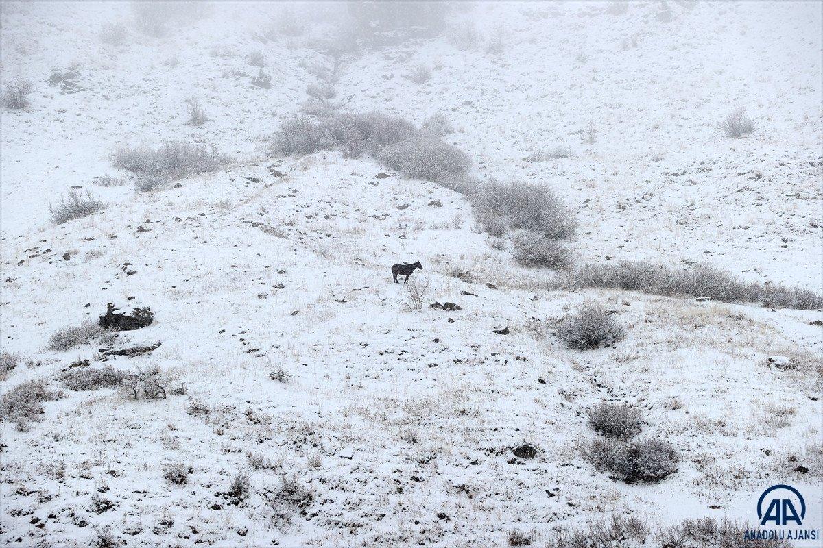 Van ve Hakkari'de kar etkili oldu