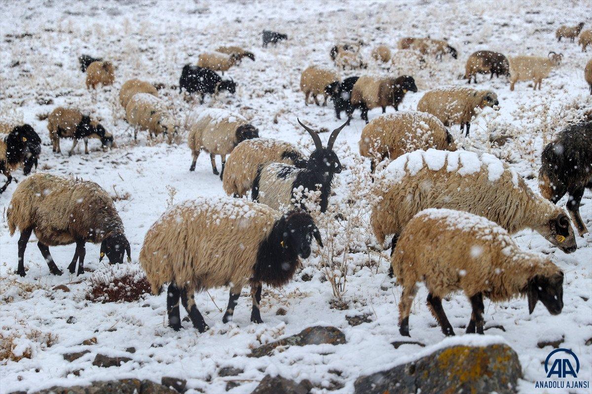 Van ve Hakkari'de kar etkili oldu