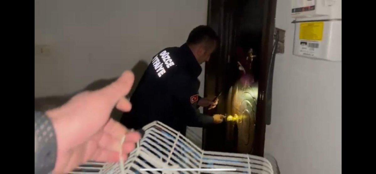 Düzce'de itfaiye mahsur kalan muhabbet kuşunu kurtardı