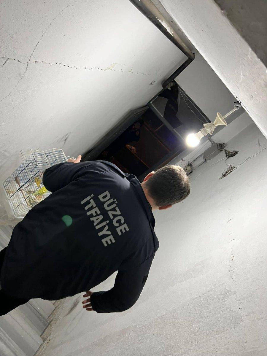 Düzce'de itfaiye mahsur kalan muhabbet kuşunu kurtardı