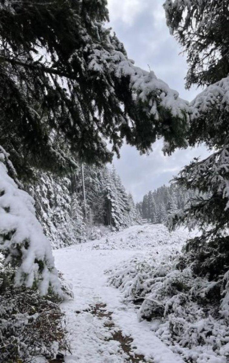 Düzce'ye mevsimin ilk karı yağdı