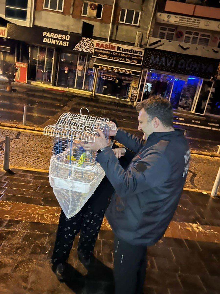 Düzce'de itfaiye mahsur kalan muhabbet kuşunu kurtardı