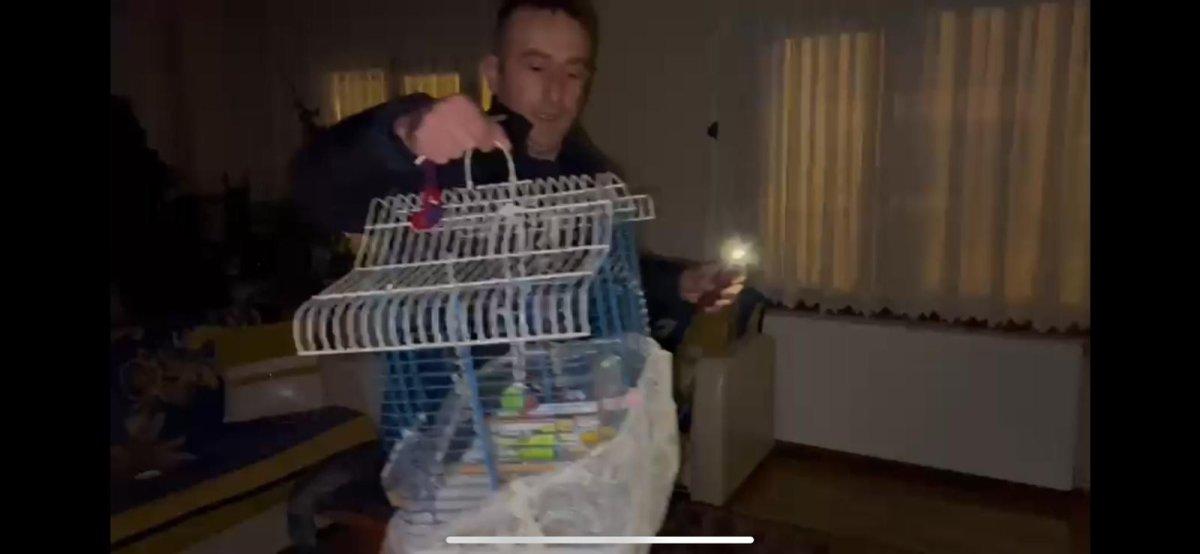 Düzce'de itfaiye mahsur kalan muhabbet kuşunu kurtardı