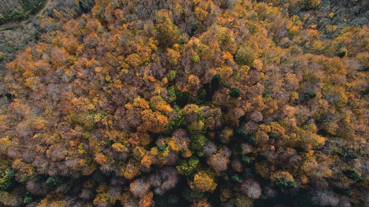 Çam Dağı'ndan sonbahar manzaraları