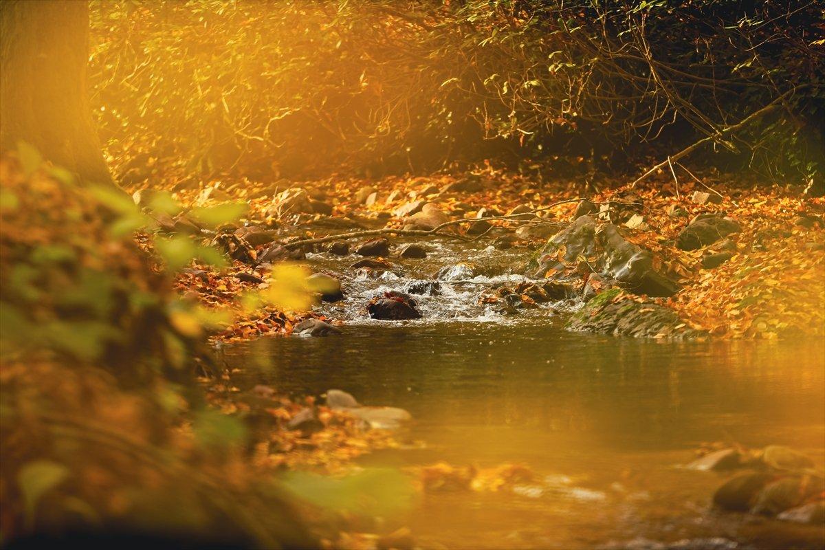 Çam Dağı'ndan sonbahar manzaraları