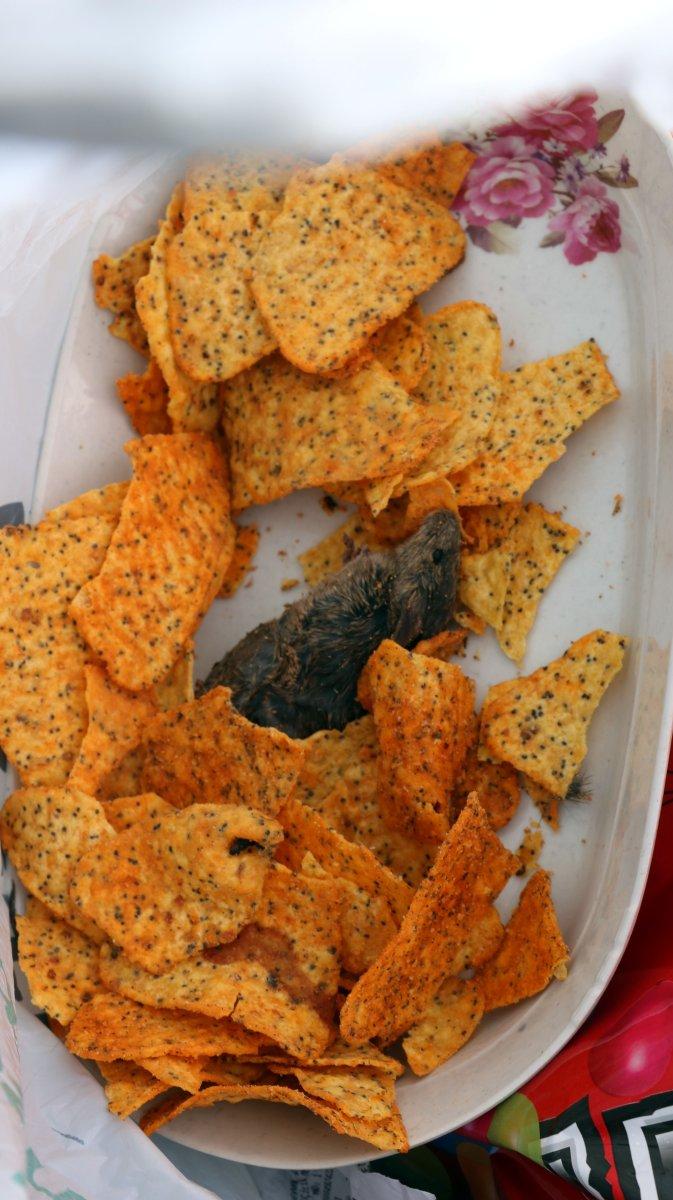 Yozgat'ta zincir marketten aldıkları cipsin içinden fare çıktı