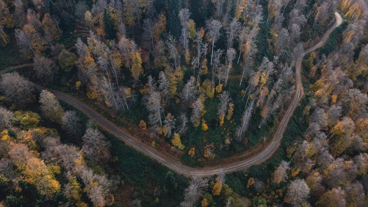 Çam Dağı'ndan sonbahar manzaraları