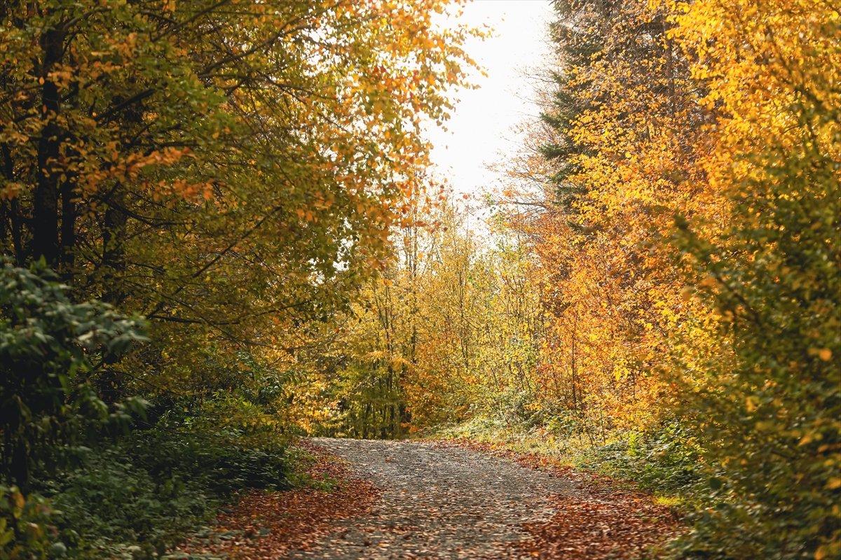 Çam Dağı'ndan sonbahar manzaraları