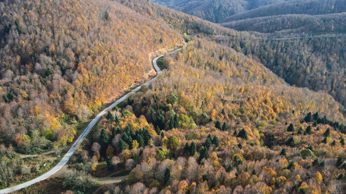 Çam Dağı'ndan sonbahar manzaraları