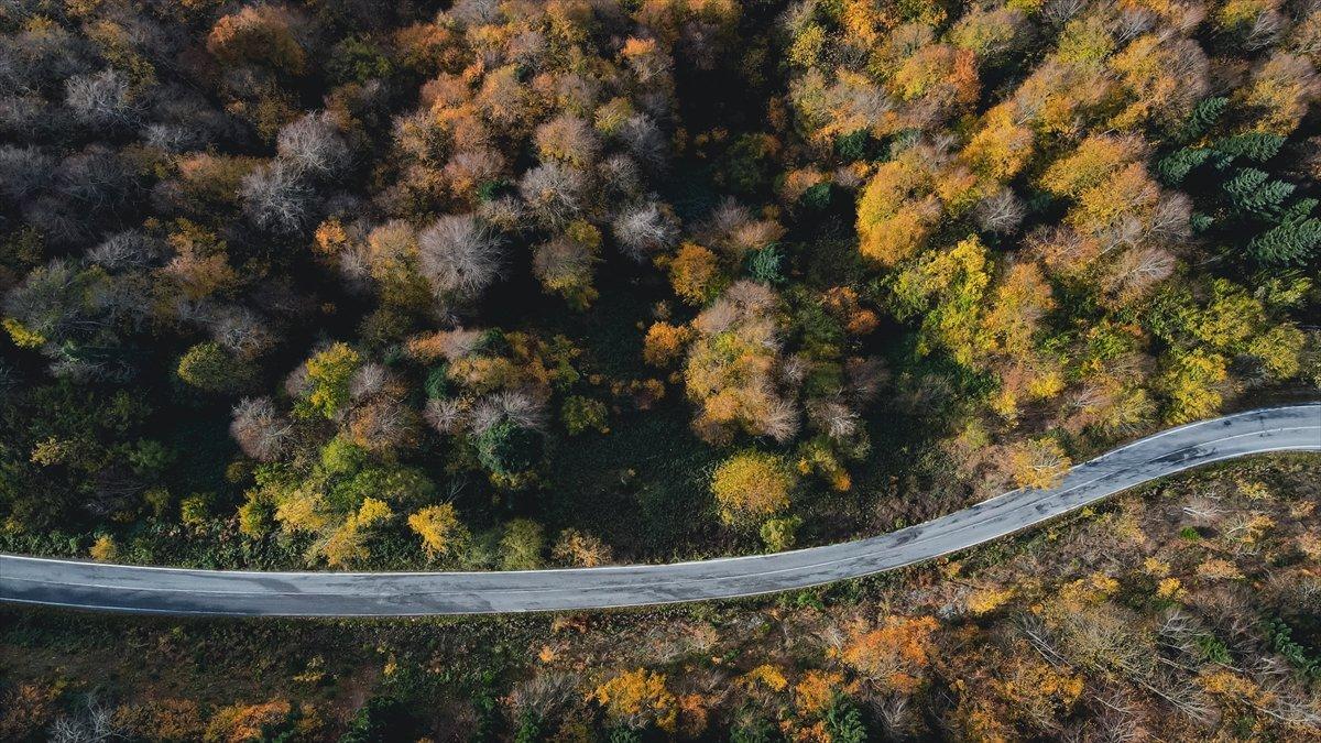 Çam Dağı'ndan sonbahar manzaraları