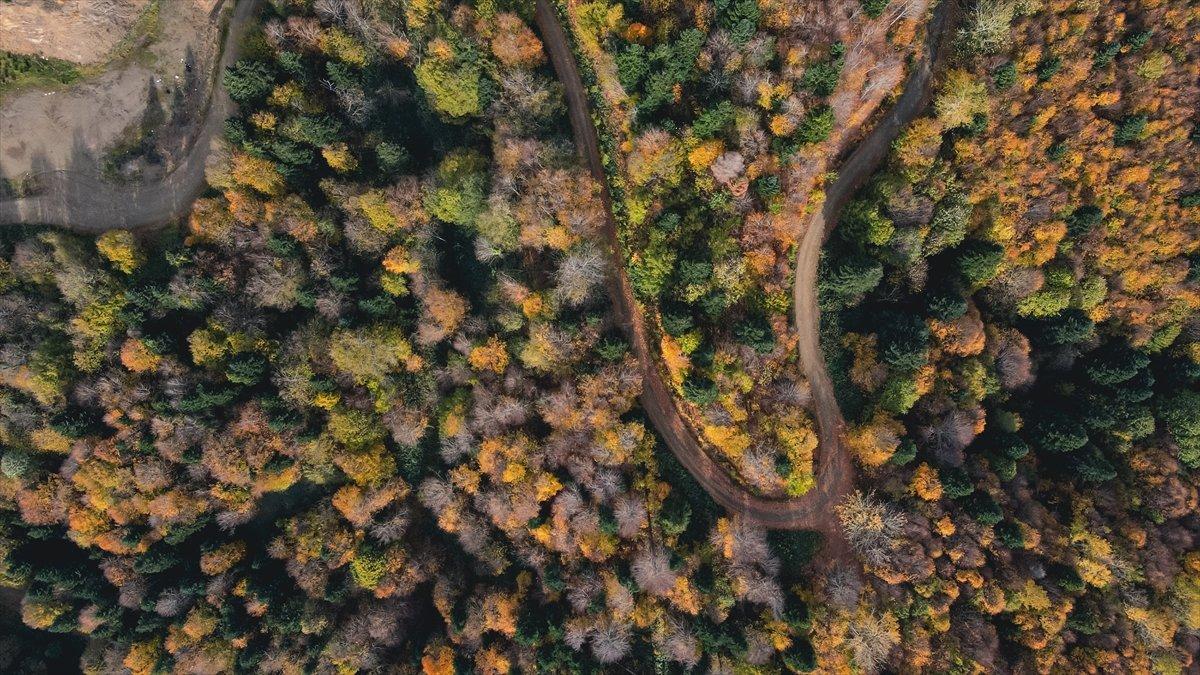 Çam Dağı'ndan sonbahar manzaraları