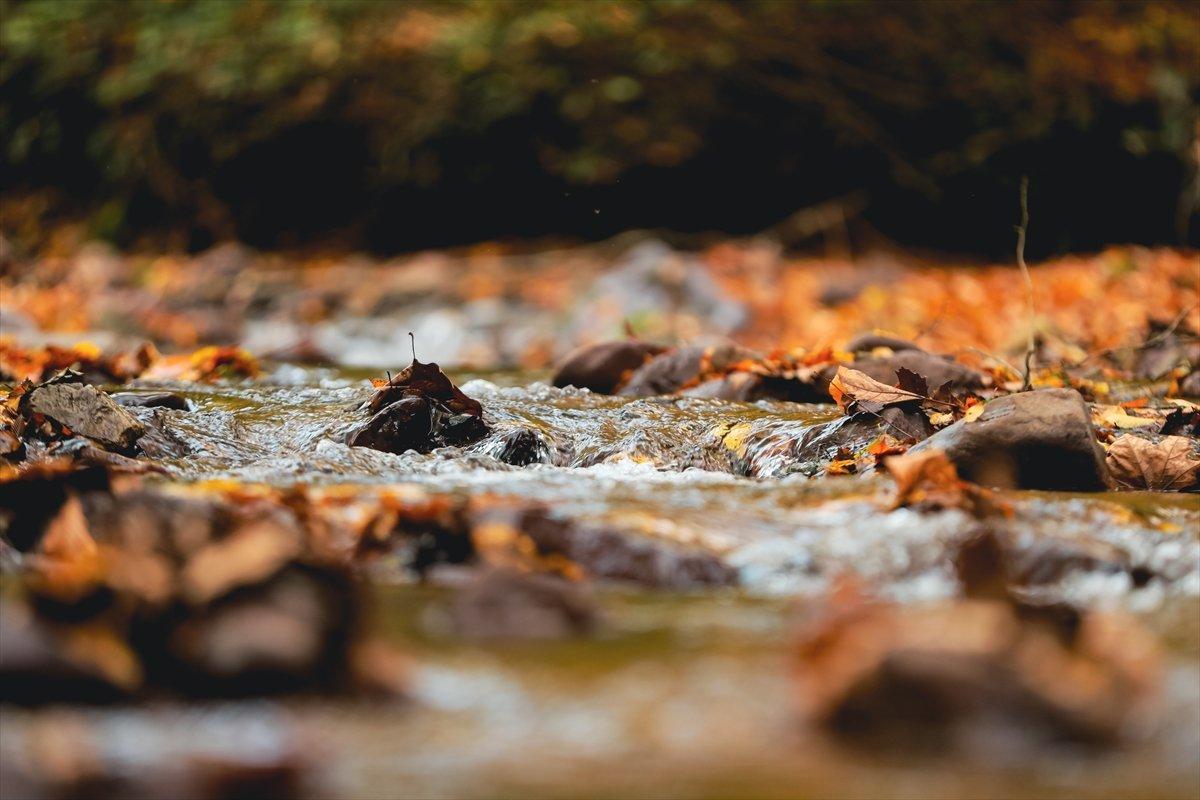 Çam Dağı'ndan sonbahar manzaraları