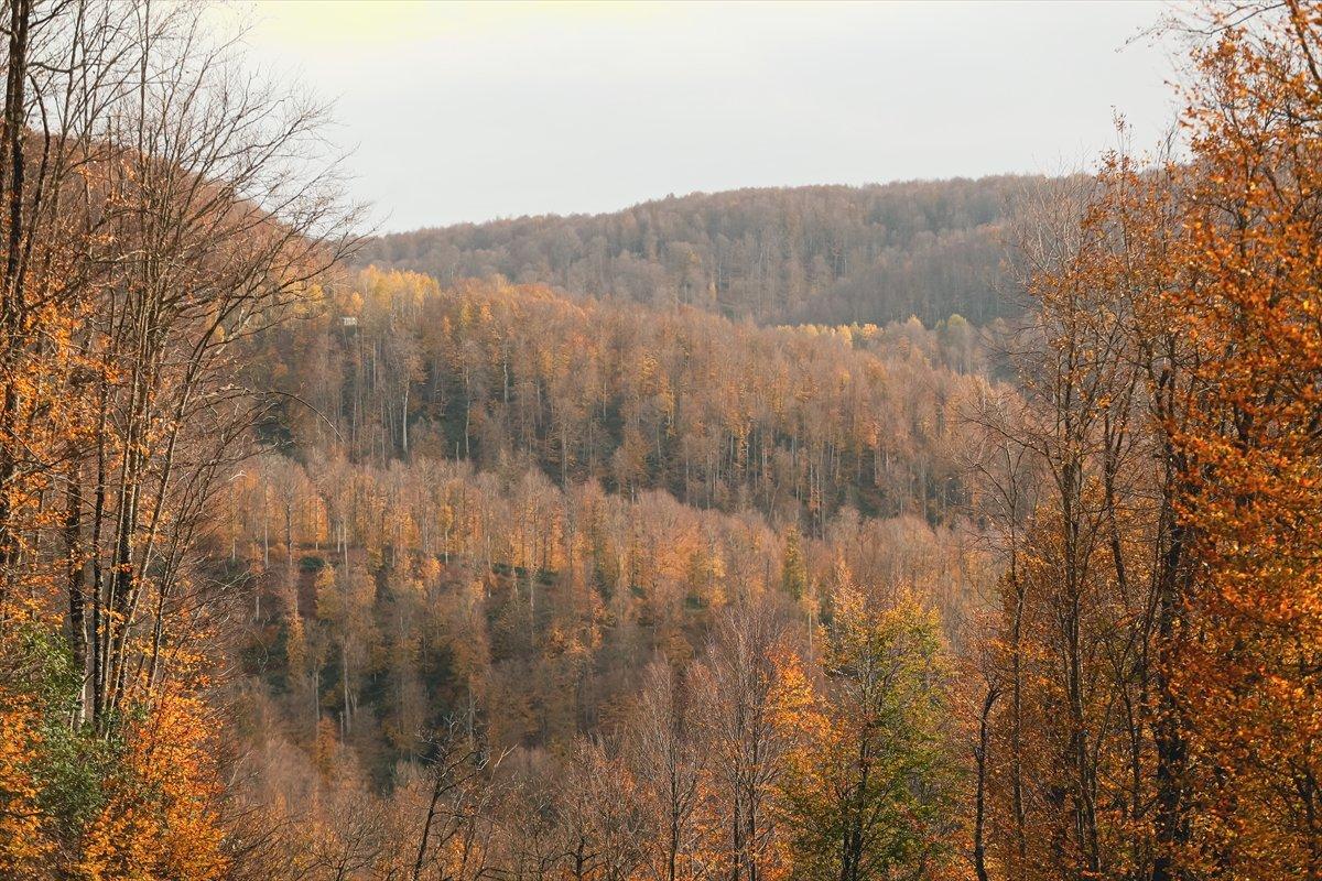 Çam Dağı'ndan sonbahar manzaraları