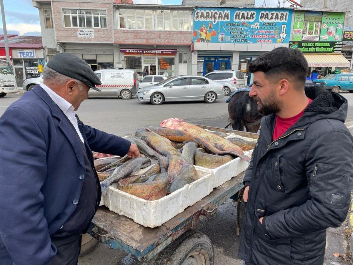 Ardahanlı balıkçı 1.5 metrelik balık yakaladı