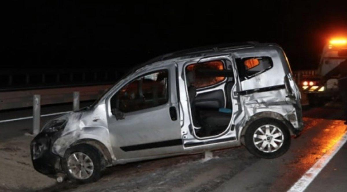 Sokak köpekleri saldırısında acı bilanço 