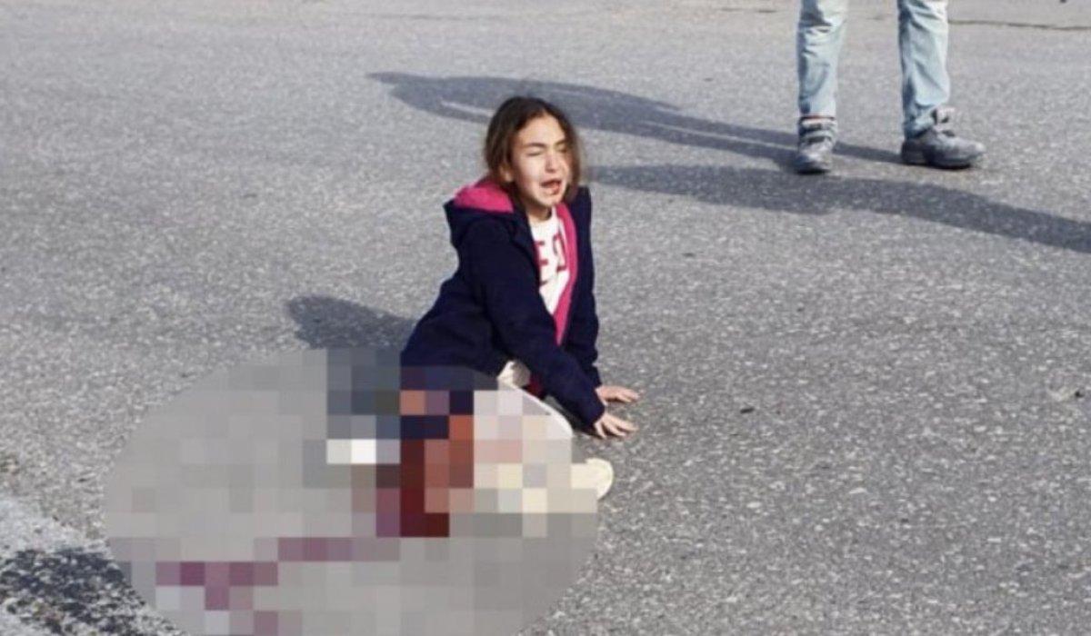 Sokak köpekleri saldırısında acı bilanço 