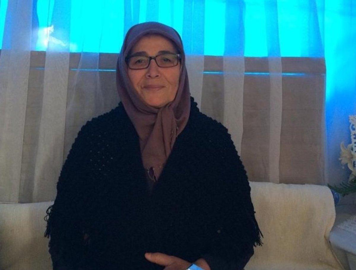 Sokak köpekleri saldırısında acı bilanço 