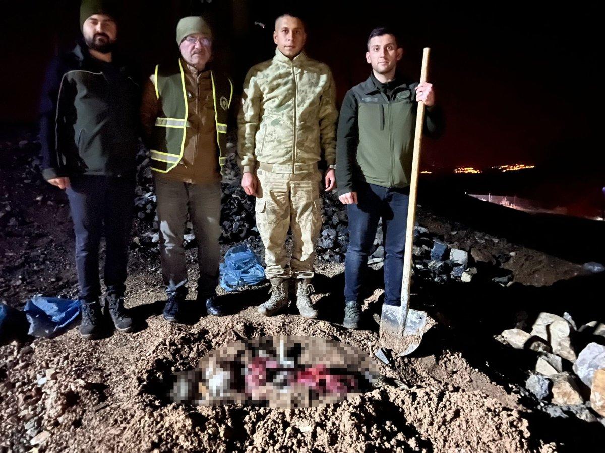 Siirt'te kaçak avcılık yapan 12 kişiye para cezası verildi
