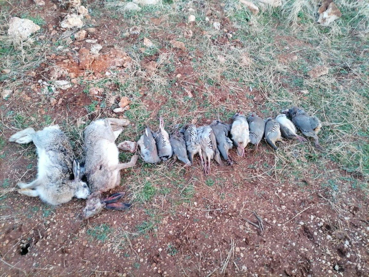 Siirt'te kaçak avcılık yapan 12 kişiye para cezası verildi