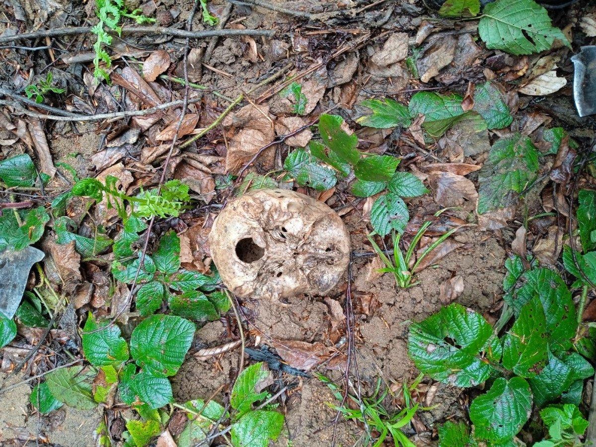 Gümüşhane’de, 7 yıl önce kaybolan adamın kemikleri ormanda bulundu