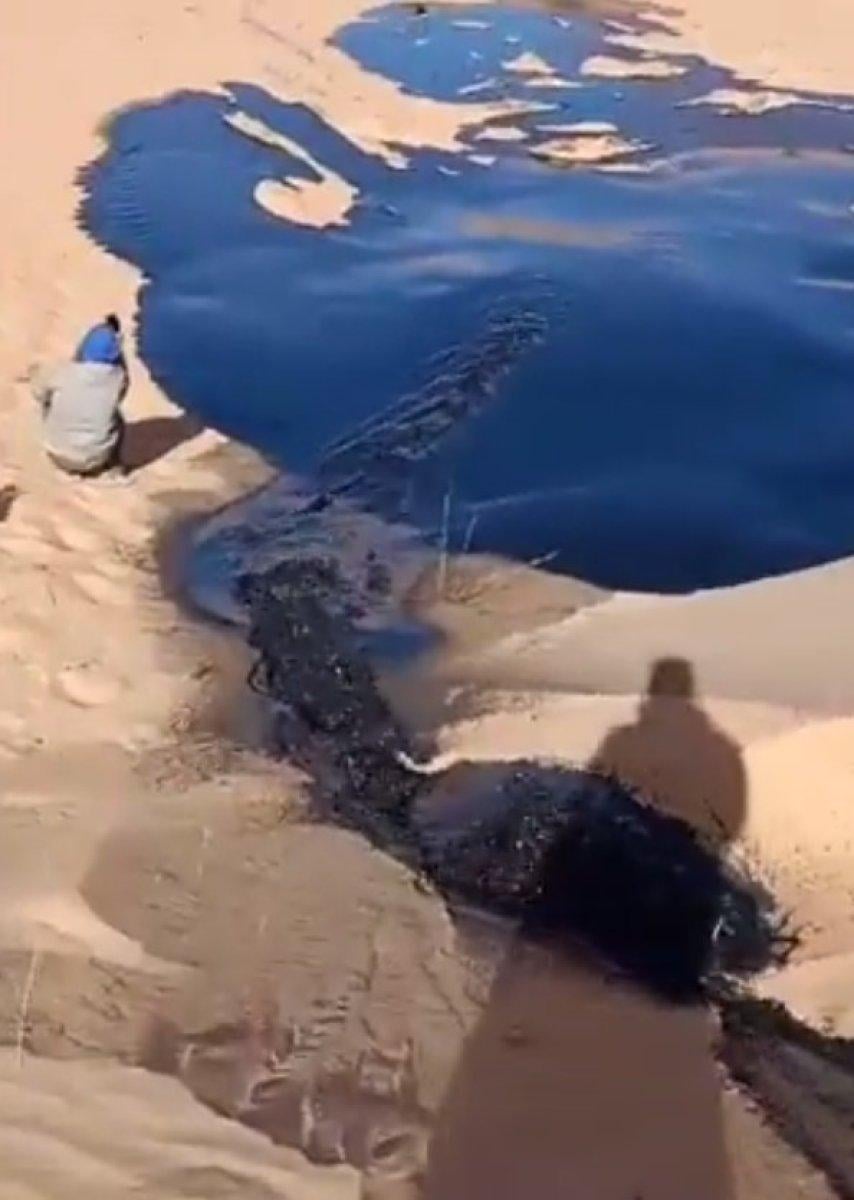 Cezayir'de çölde su arayan grup petrol buldu