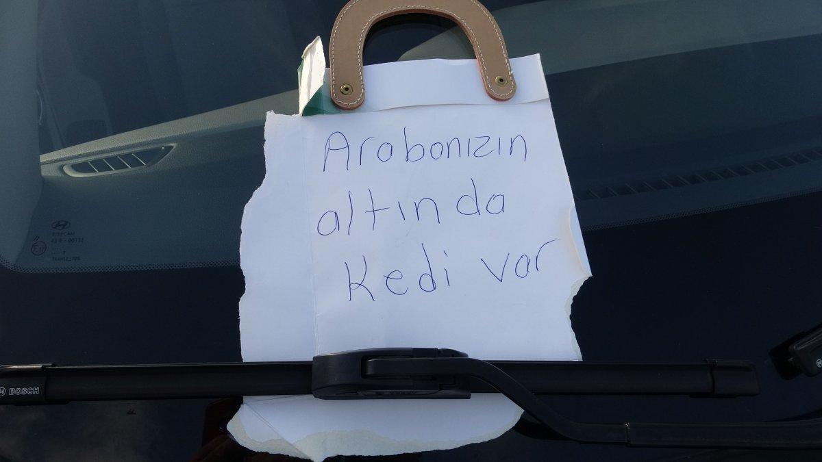 Tokat'ta ekiplerin yakalayamadığı kedi, döner kokusuyla çıkarıldı