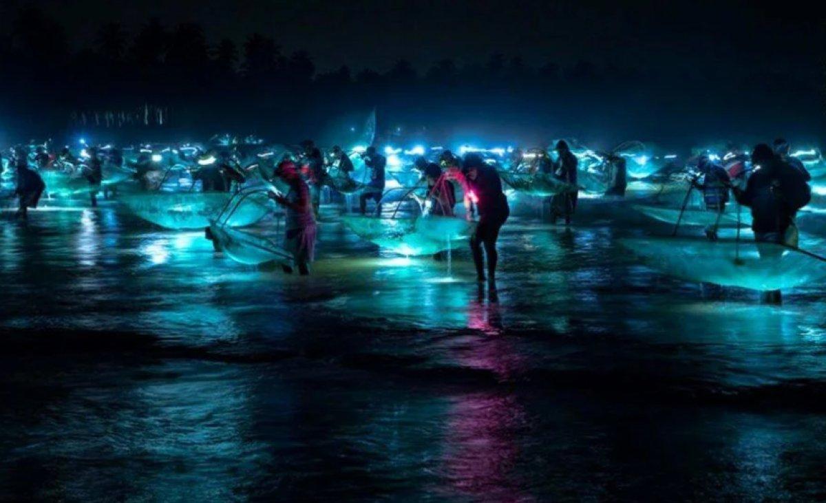 Yılın 25 vahşi yaşam finalisti belli oldu 