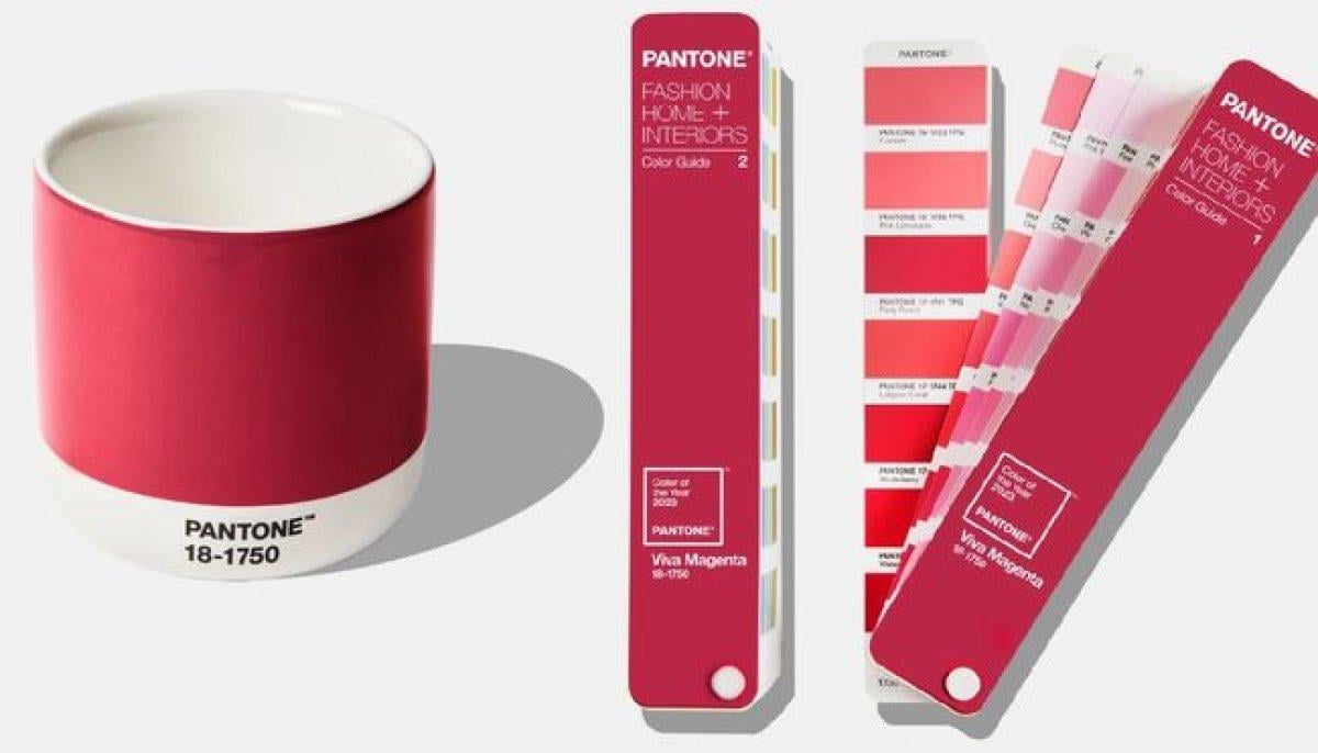 2023 rengini belli etti! Pantone VIVA MAGENTA nasıl bir renk?
