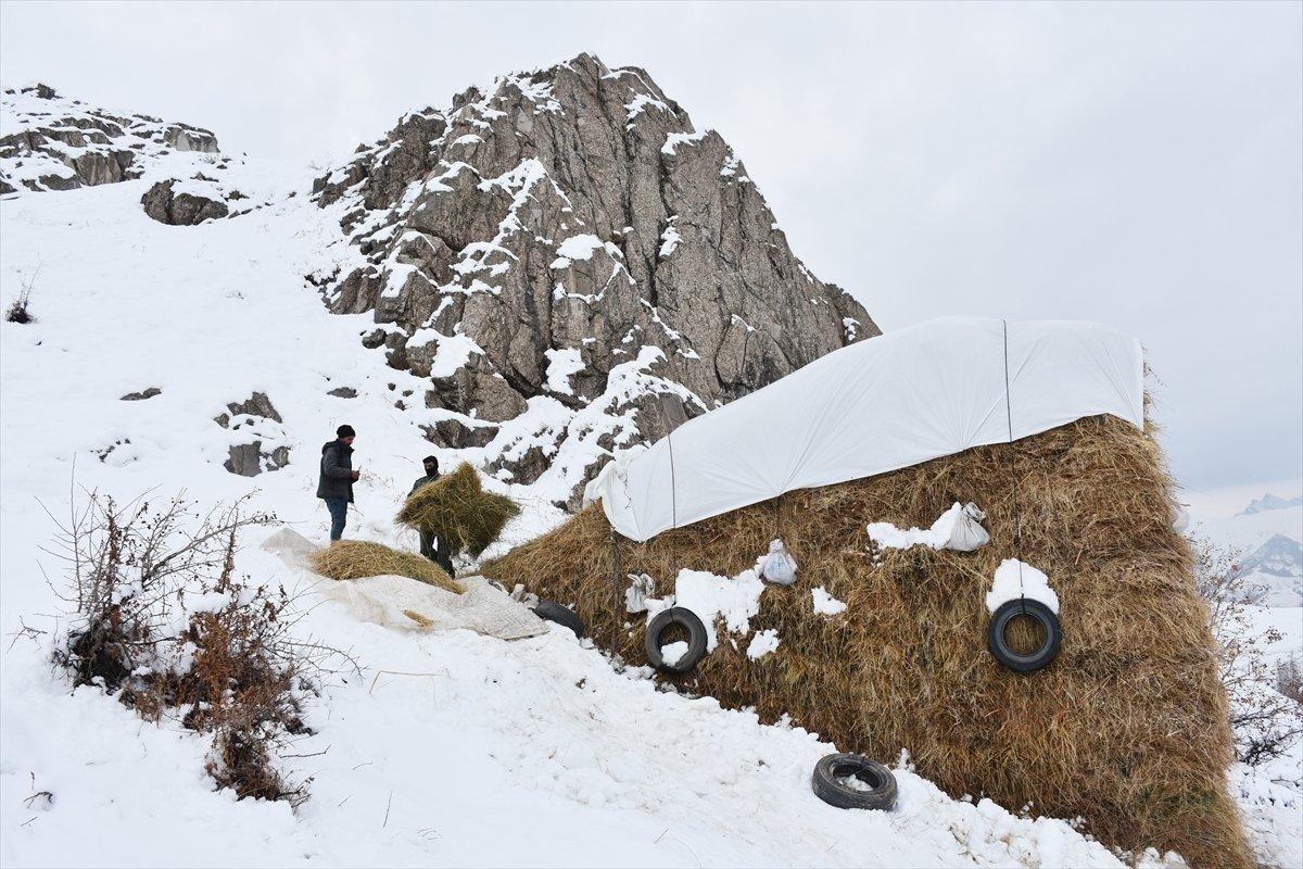 Hakkarili besicilerin zorlu kış mücadelesi