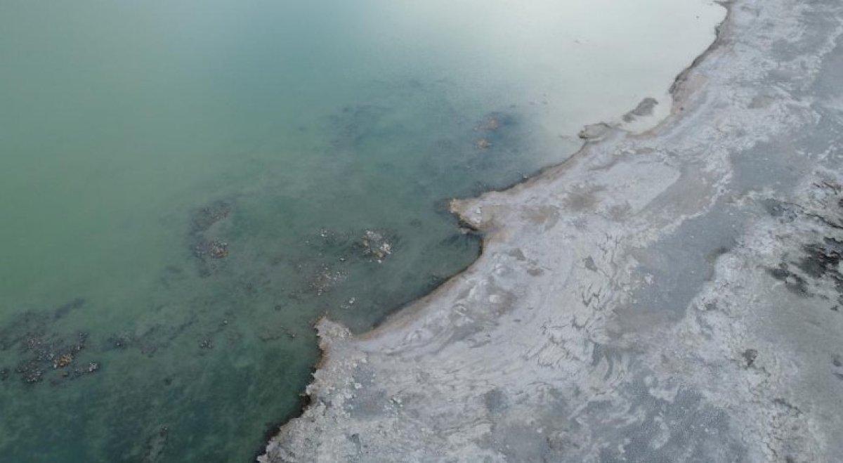 Kuş cenneti Arin Gölü, tehlike altında