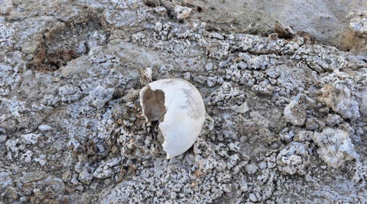 Kuş cenneti Arin Gölü, tehlike altında