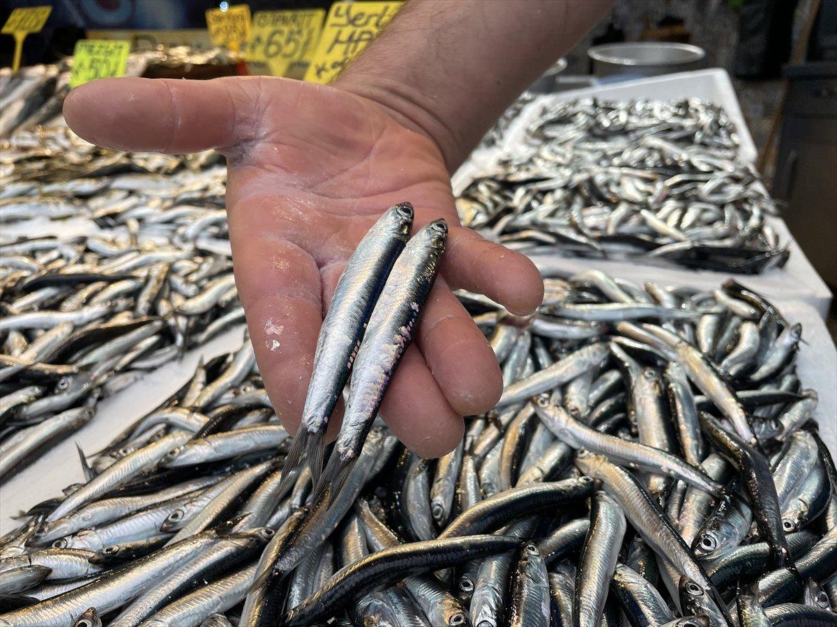 Trabzon'da avlanan yerli hamsi, 25 liradan tezgahlardaki yerini aldı