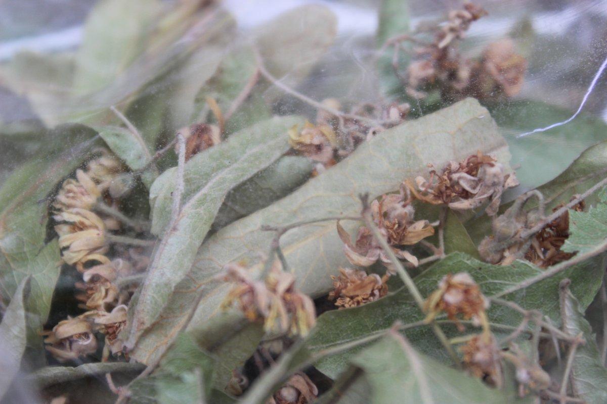 Kırklareli'nde aktar: Önerilerde bulunmamızı istemeyiniz