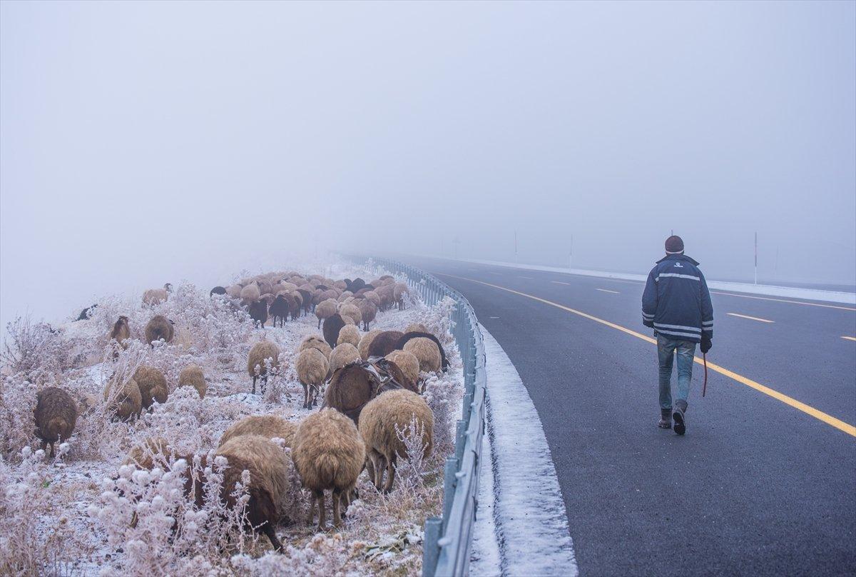 Kars'ta yayladan dönüş yolculuğu